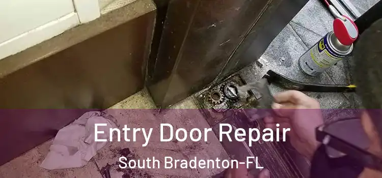  Entry Door Repair South Bradenton-FL