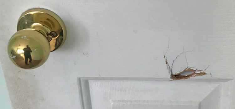 interior door hole repair South Bradenton