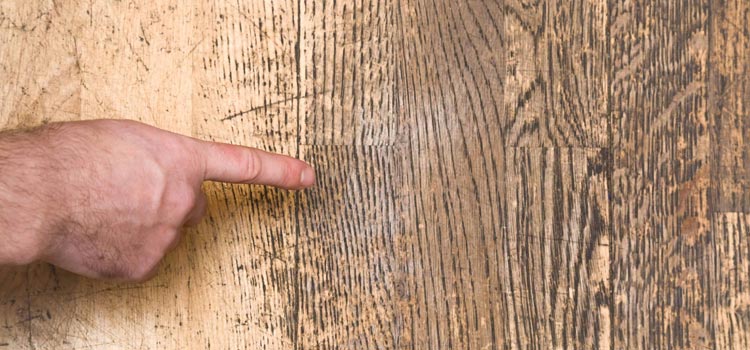 Wood Door Scratch Repair in South Bradenton