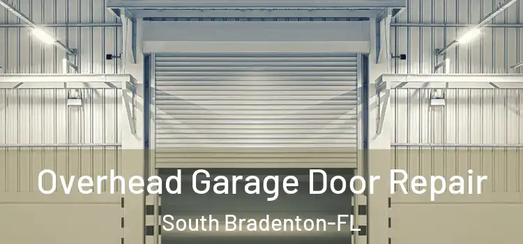  Overhead Garage Door Repair South Bradenton-FL